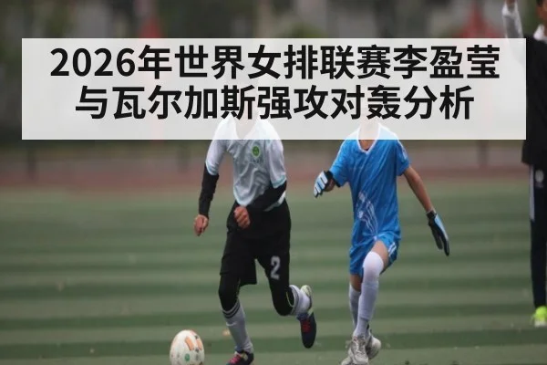 2026年世界女排联赛李盈莹与瓦尔加斯强攻对轰分析 - leyu.com